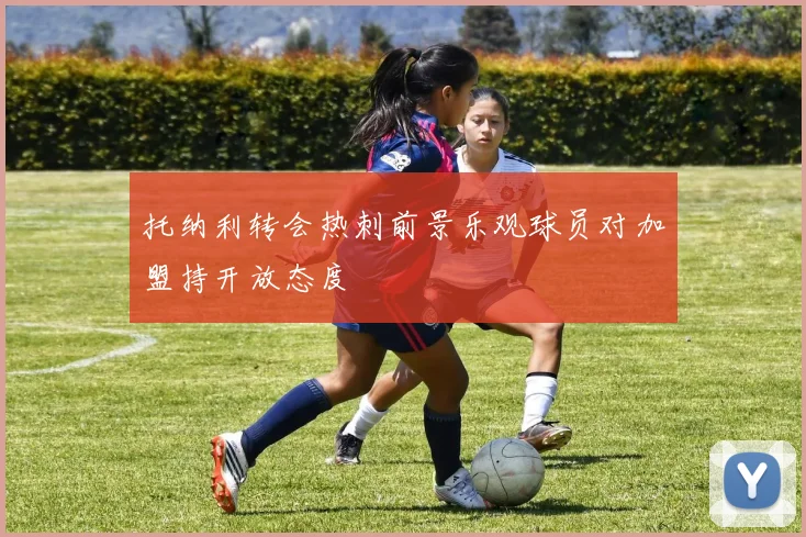托纳利转会热刺前景乐观球员对加盟持开放态度