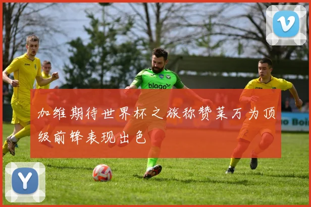 加维期待世界杯之旅称赞莱万为顶级前锋表现出色